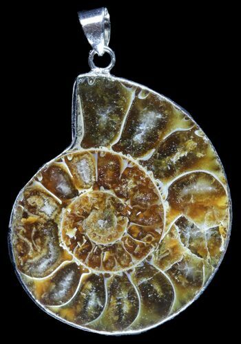 Fossil Ammonite Pendant - Million Years Old #89819